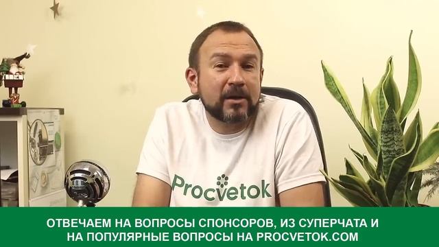 НАЧИНАЕМ ПОСЕВЫ! Что и как посеять в формате вопрос-ответ