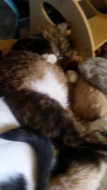 Закончилось 