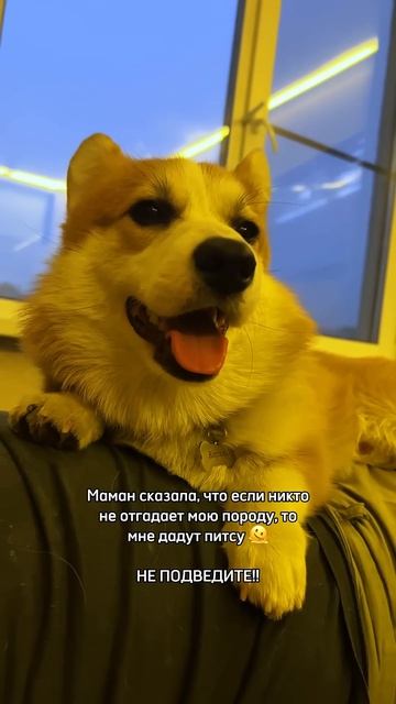 Надеюсь на вас