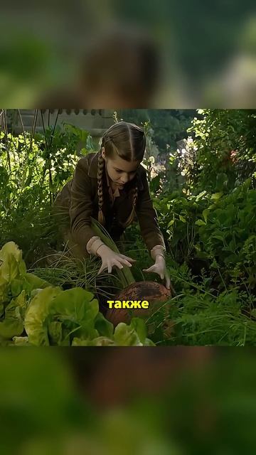 🍿 В этой школе учатся очень странные дети