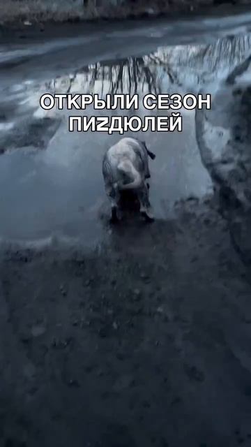 Клип @men_mne_eto_nravitsa