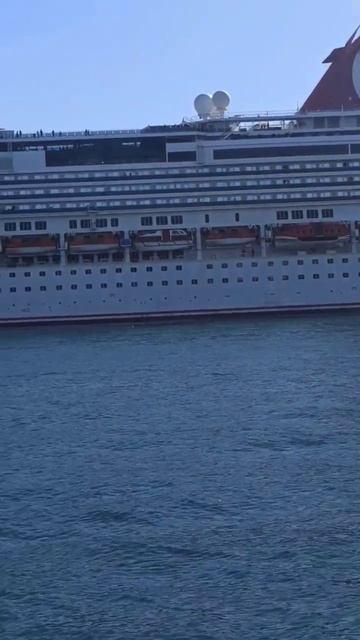 Австралия / Сидней. Привет от брата!