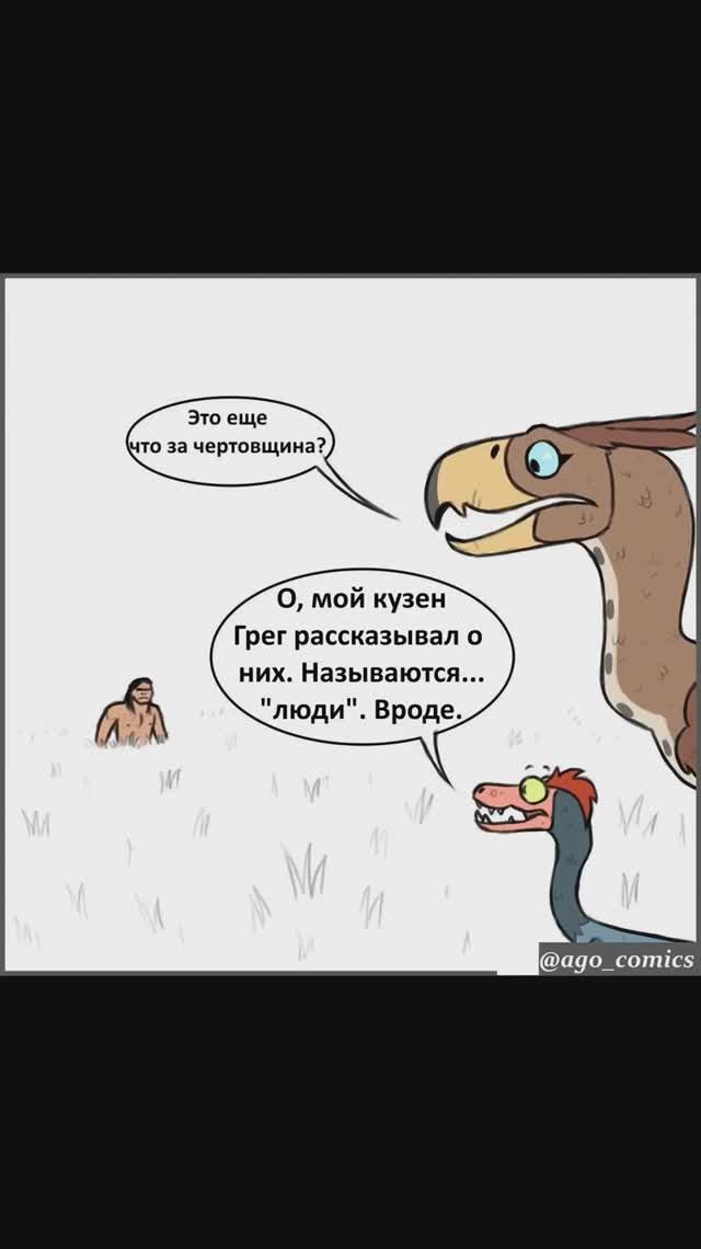 Лютые мемы. Опасные животные