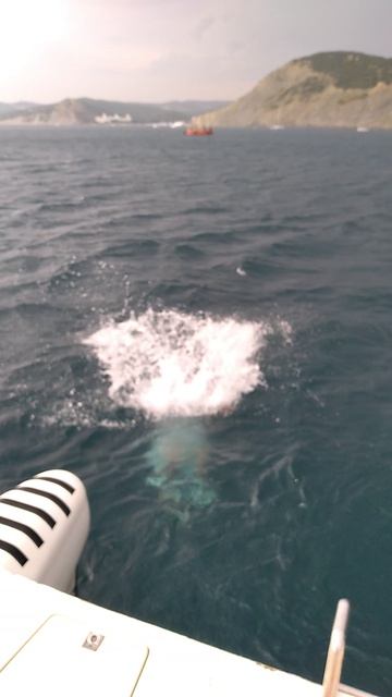 Ушёл солдатиком в открытом Чёрном море на яхте в Большом Утрише