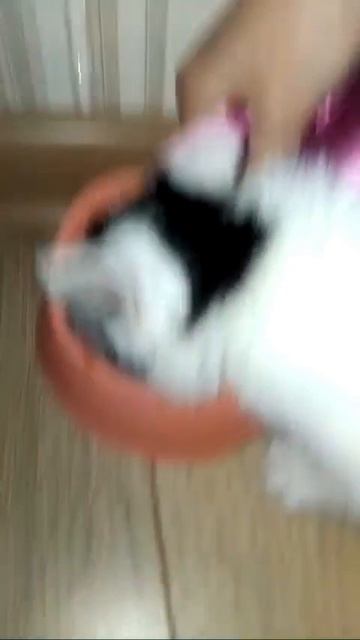 Малявочке 1 месяц