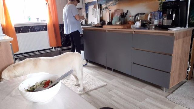 Моя Жизнь в Деревне,  Вот и Лес привезла . Перекусим и идём работать .