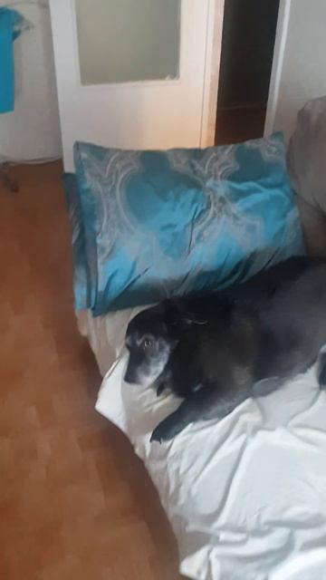 12 апреля 2026 г.