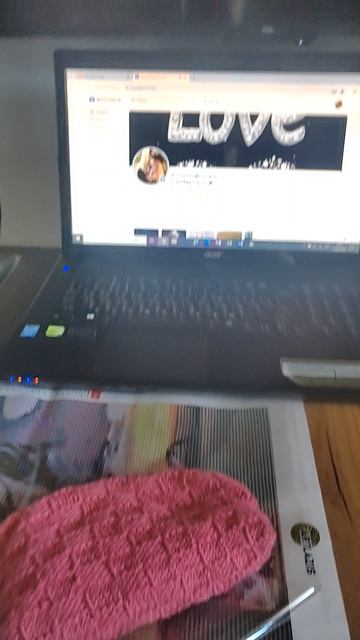 Котик в процессе