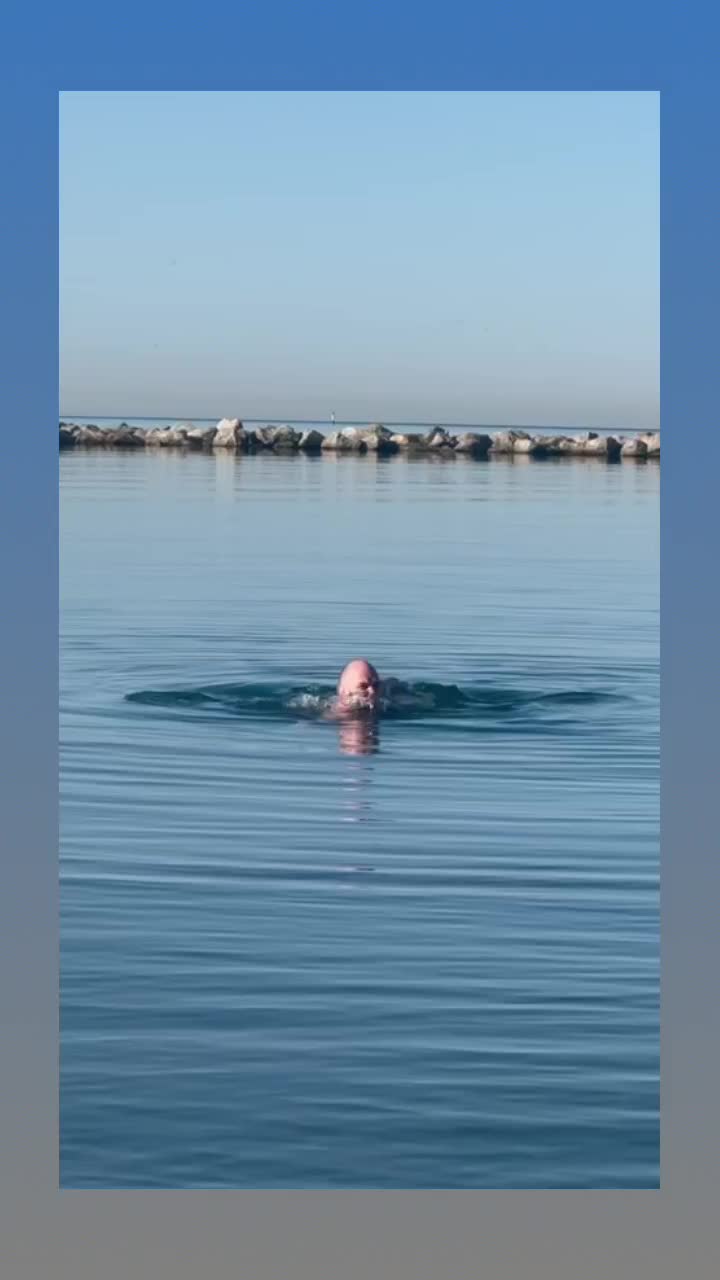 2026-04-17T05:54:33.095Z