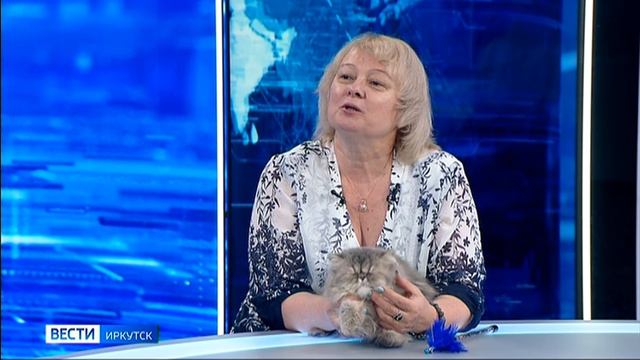 Гость студии — председатель клуба любителей кошек «Камея» Ольга Афанасьева