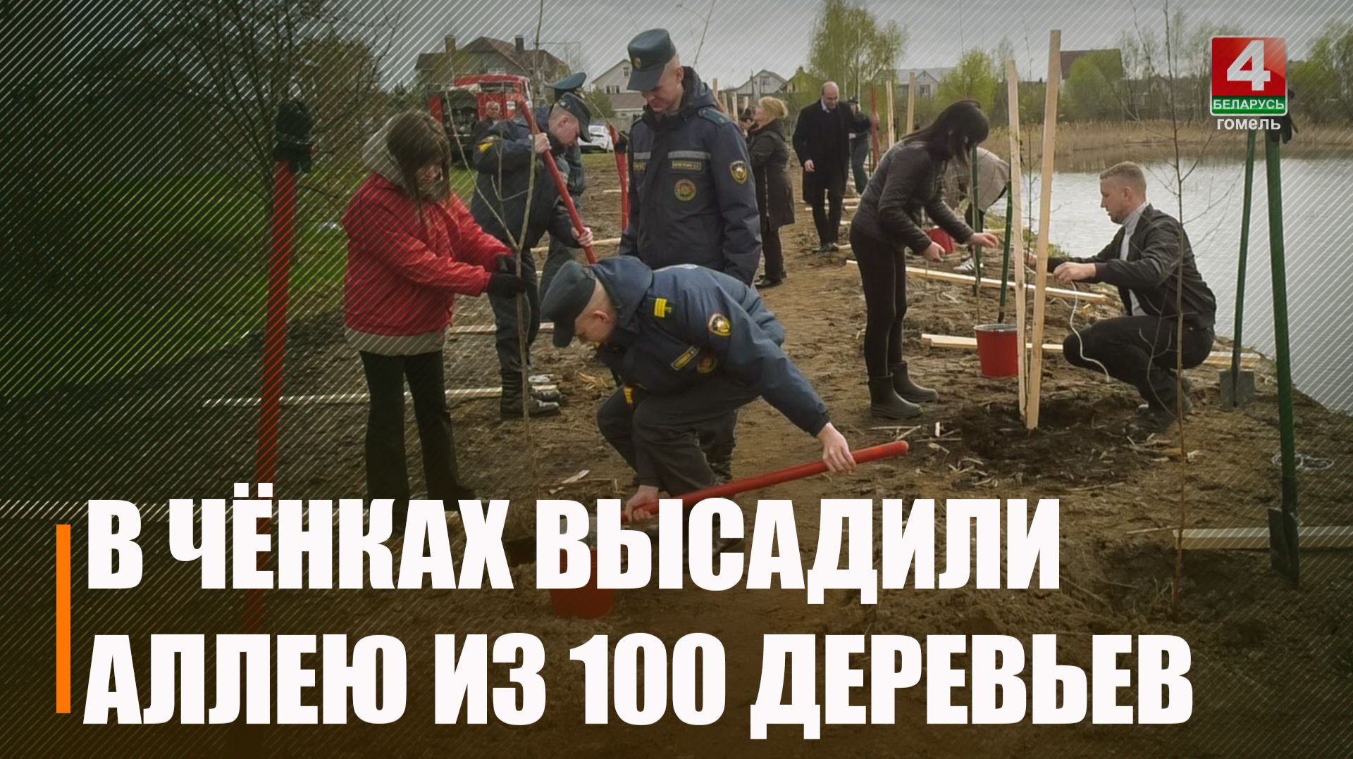 Аллею из 100 деревьев высадили в Чёнках в честь векового юбилея Гомельского района