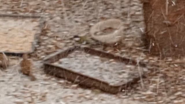 1fd12bd0de5137160f9e46235875b1c7