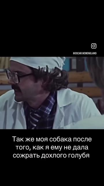 Видео про Моржа каждый день! Переходи и смотри