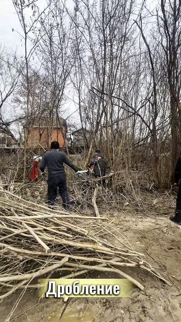 расчисткаучастка.mp4