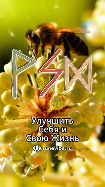 B39a1d570859ba6426cc64adae494fe7