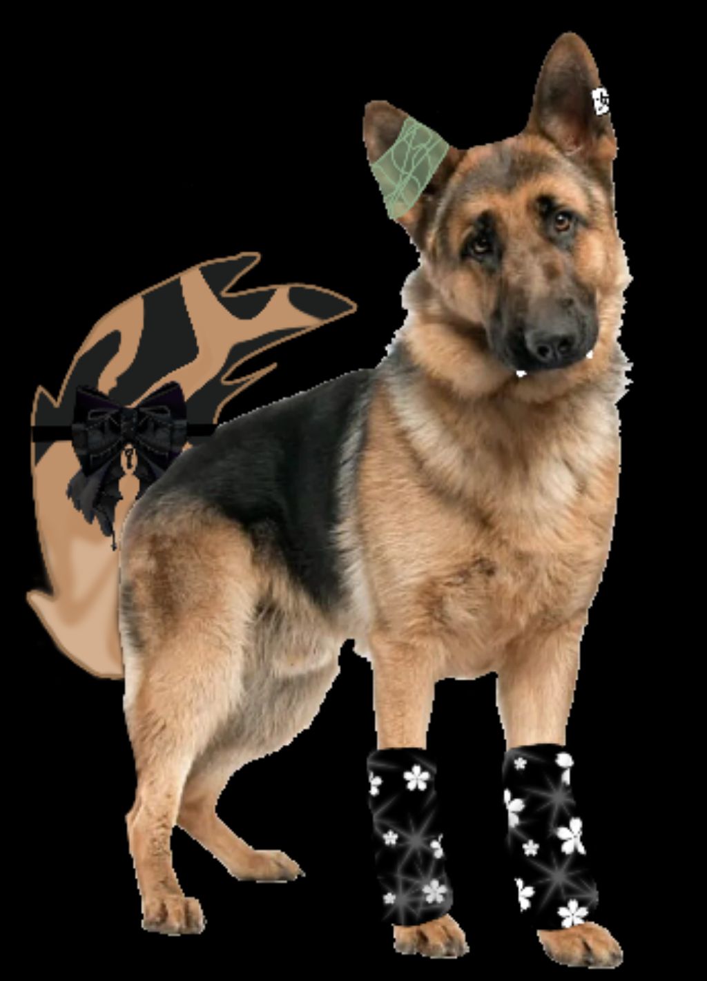 трансляция