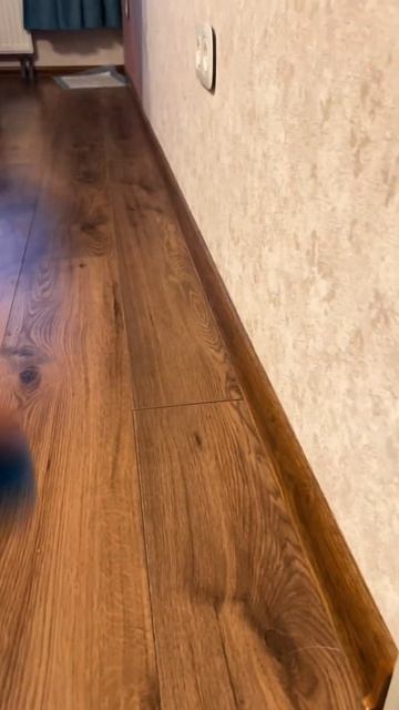 Подписывайся, если не хочешь пропустить еще Коржа