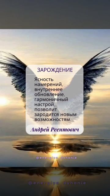 Солнечные рекомендации. Намерение. Зарождение. | Андрей Реентович #shorts