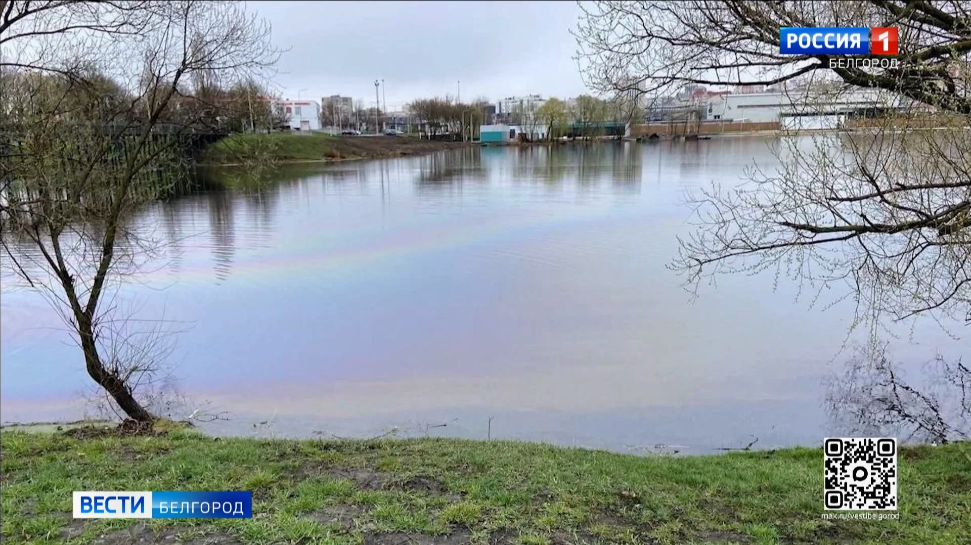 На поверхности Северского Донца в Белгороде появились бензиновые разводы