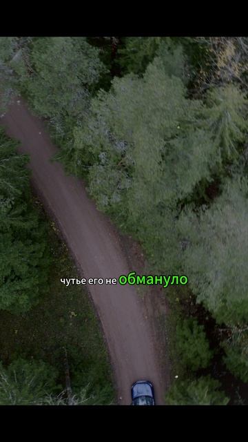 Аудио рассказ: Молодая семья купила старый дом… Но тайник в полу изменил всё