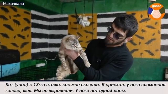 Ветеран СВО открыл приют для бездомных и больных животных

После службы в армии по призыву Хаскил Ам