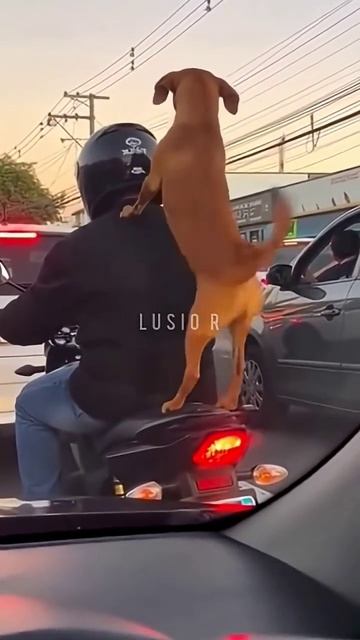 Набирает обороты😆))