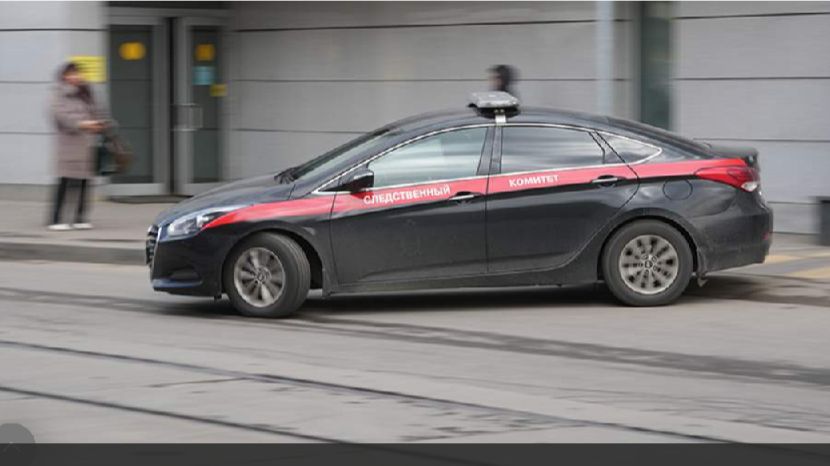 В СК поручили доложить о расследовании самоуправства женщины в Шаховской