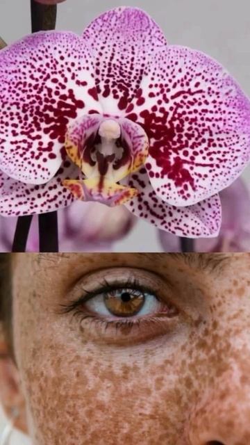 Вот здесь видно Бога, а не так где его вам показывают