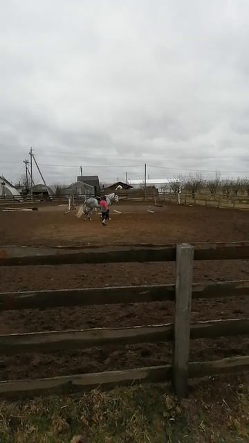 Конюшня МСКГ (Миротворческие Силы Казачьей Гвардии)