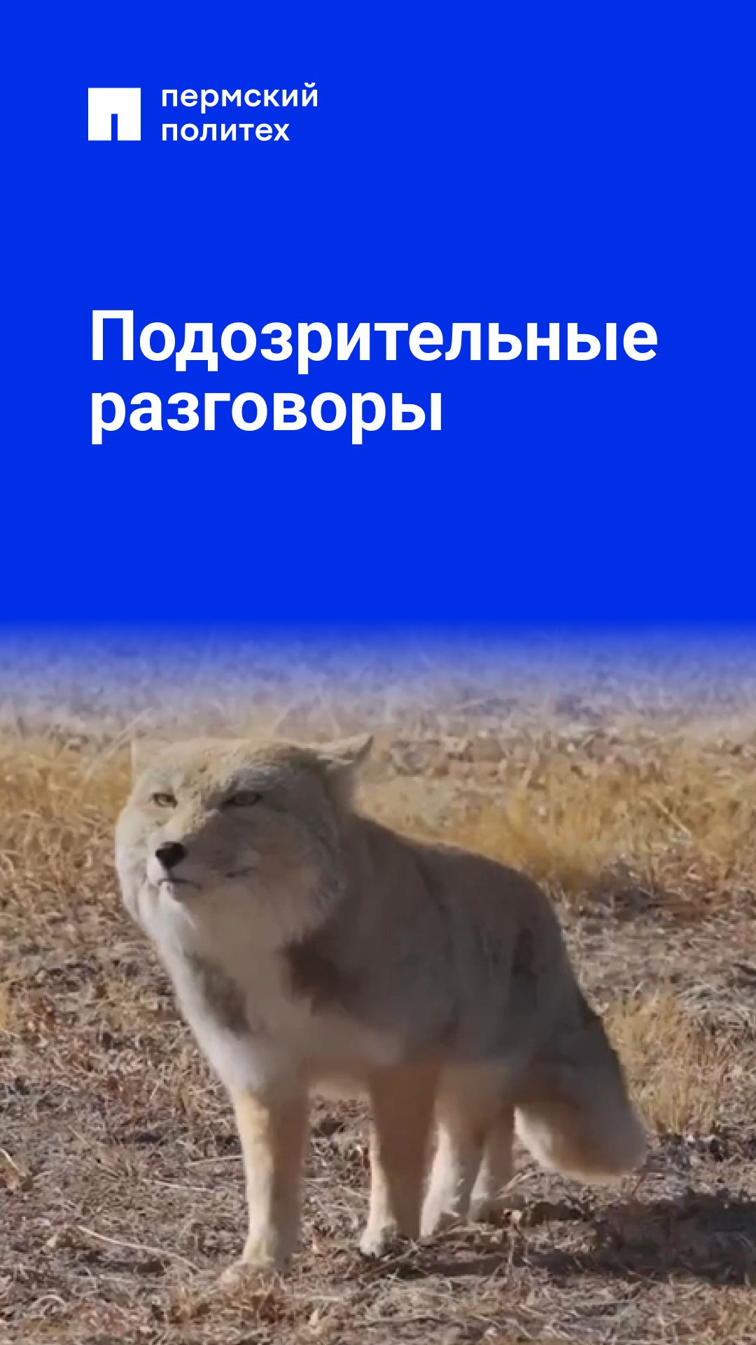 Такое мы пресекаем