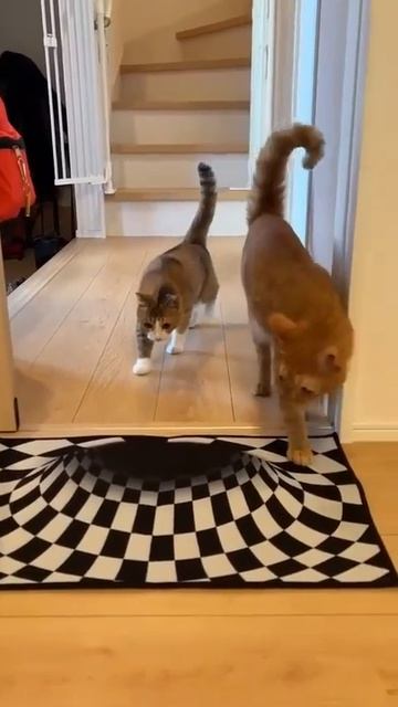 Видео от МЭН - Мне Это Нравится