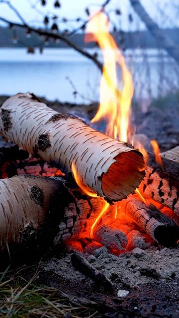 У костра всегда становится тише внутри