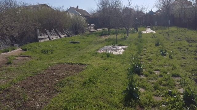 Домашние хлопоты в деревне :)