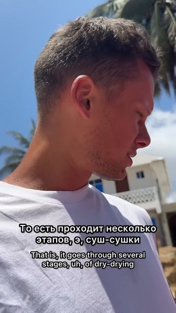 СУШКА МОРСКИХ ВОДОРОСЛЕЙ