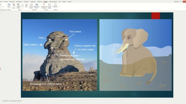 Обнаружила древнюю скульптуру слона на вершине горы в Крыму