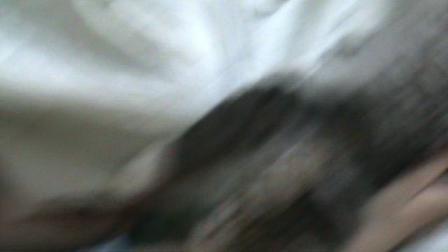 35)ДОМА КОШКА