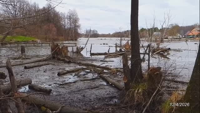 2026/4/12: Зум-виды и панорамы озера Венера (пруд на Инре у с. Лопатки) с левого берега его верховья