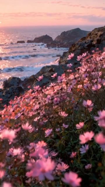 #katyboro #видеооткрытка      #рекомендации #врек #топ #врекомендации