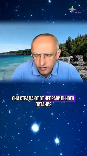 ♻️ Разные сферы жизни. Торсунов О. Г.