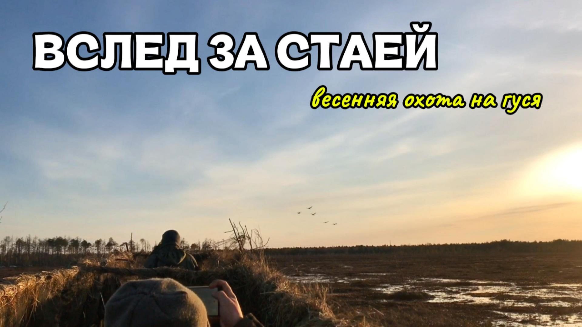 ВСЛЕД ЗА СТАЕЙ #охотанагуся #природа