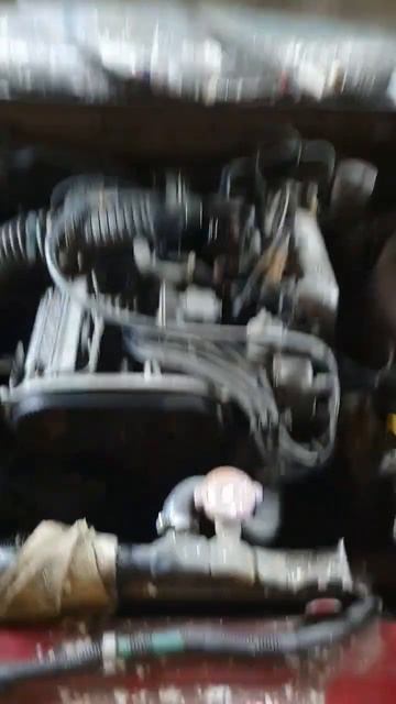 23 июля 2024 г.