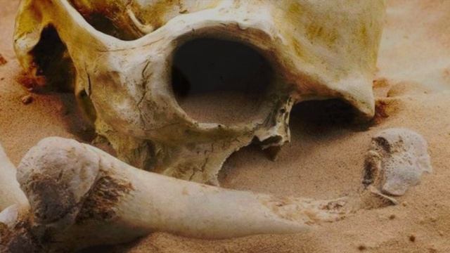 Древние великаны ! (1)