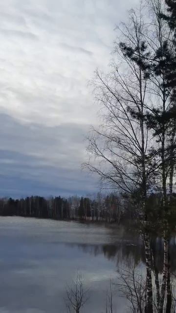 На врдоеме Карпятник в Клязменской пойме лёд уже полностью сошел