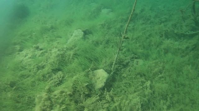 Дайвинг. Урал. Золотой Дельфин. Часть вторая.