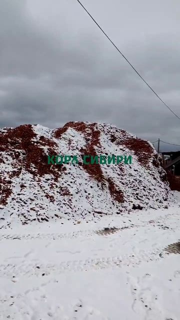 Крупнейший B2B поставщик му́льчи из коры деревьев хвойных пород