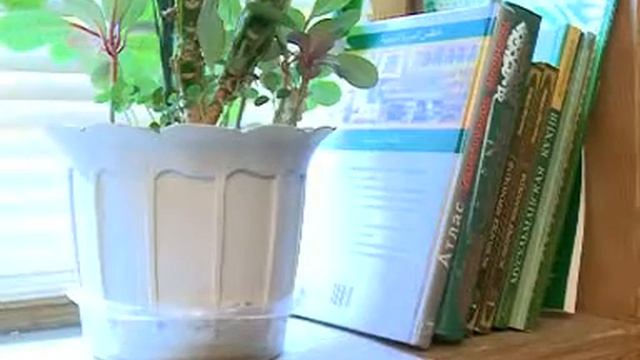 Дин вә хәят: 24.08.2016 - 