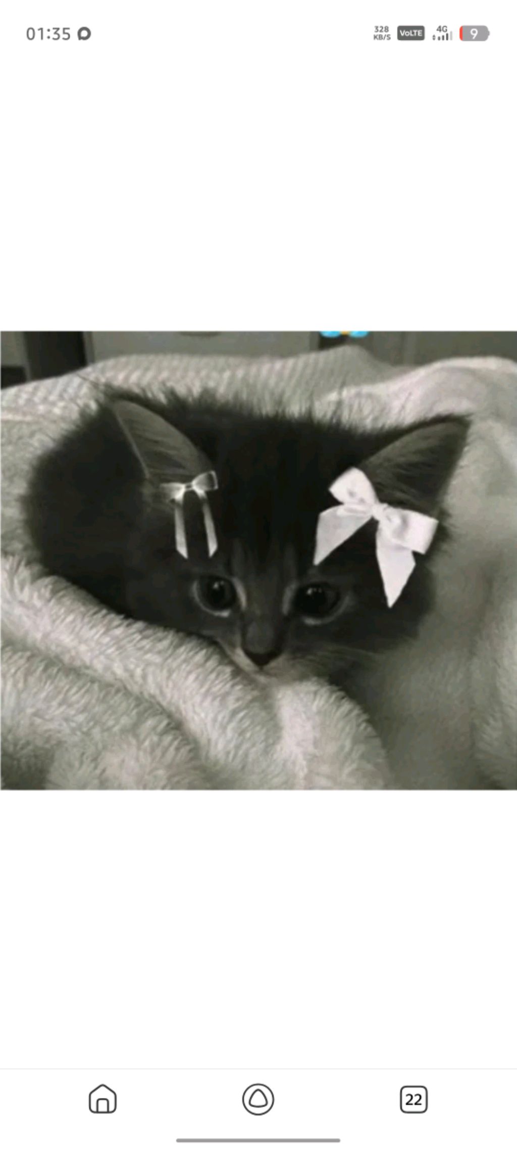 Хай мы в школе