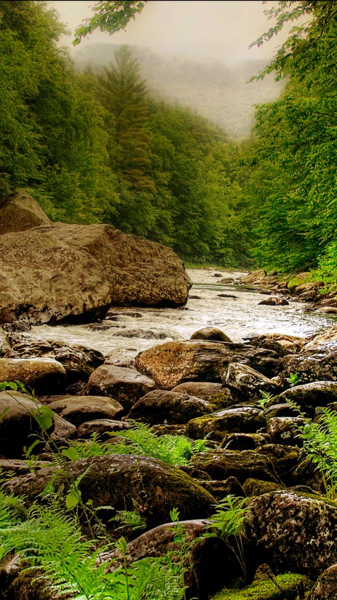 Жизнь в квартите и