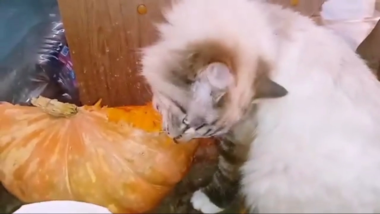 2 лайфхака от Суходрищика