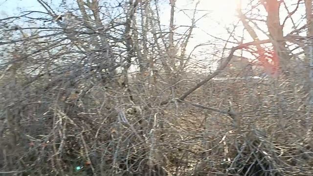 Разрушенный дом в огороде, снт. Интересные места в России